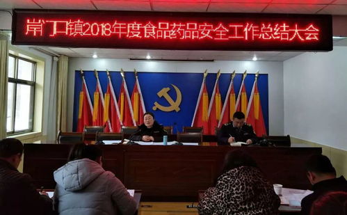 守護舌尖安全，岸門口鎮召開2021年度食品藥品安全監管工作總結大會